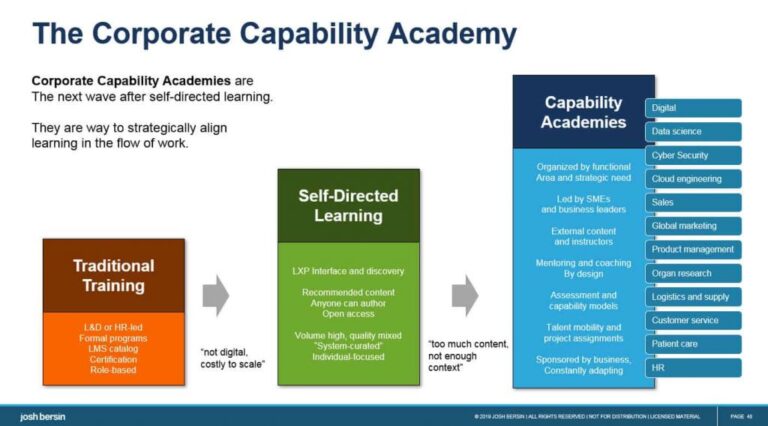 Thriving Through Turbulence: Building Organizational Anti-Fragility Through Capability Academies
